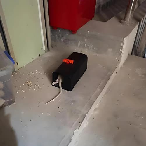 Trampa Para Ratas Eléctrica Sin Veneno Reutilizable Mejorada miniatura 2