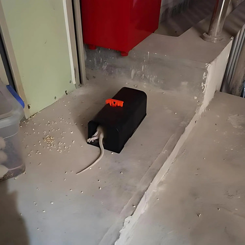 Trampa Para Ratones Eléctrica A Pila Reutilizable Y Potente miniatura 2
