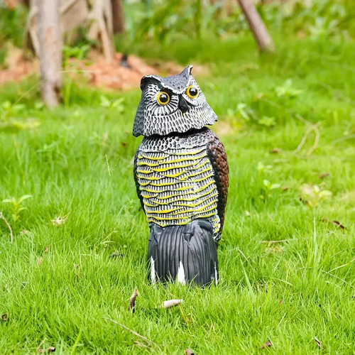 Búho ahuyenta pájaros con cabeza giratoria, visto de frente sobre hierba
