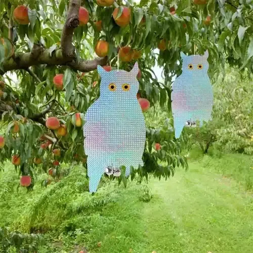 Búho Espanta Pájaros Reflectante Holográfico Con Sonido miniatura 2