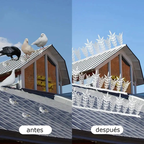 Comparativa de instalación de pinchos espanta pájaros blancos: antes con aves en la cornisa, después con los pinchos colocados.