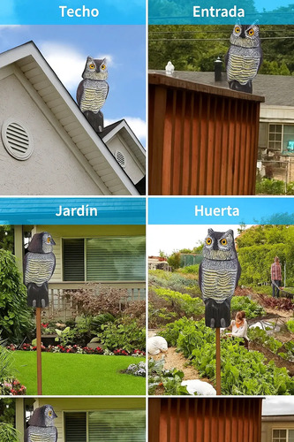 Búho espanta palomas instalado en techo, entrada, jardín y huerta con ejemplos de colocación en diferentes áreas de la vivienda