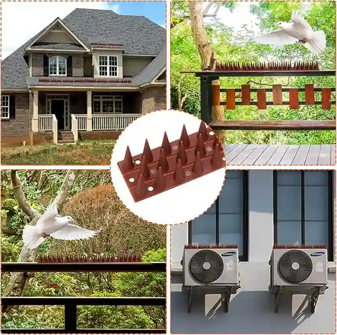 Pinchos Ahuyenta Palomas Espanta Pajaros X12 Ud + Pegamento - Imagen 3