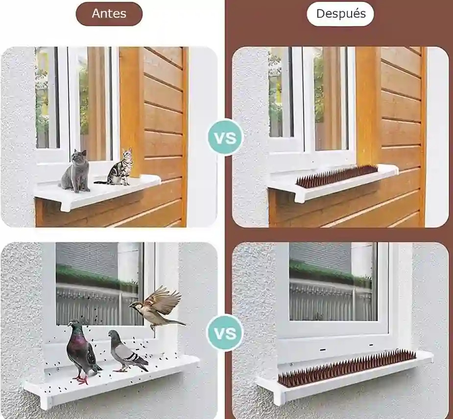 Pinchos Ahuyenta Palomas Espanta Pajaros X12 Ud + Pegamento - Imagen 5