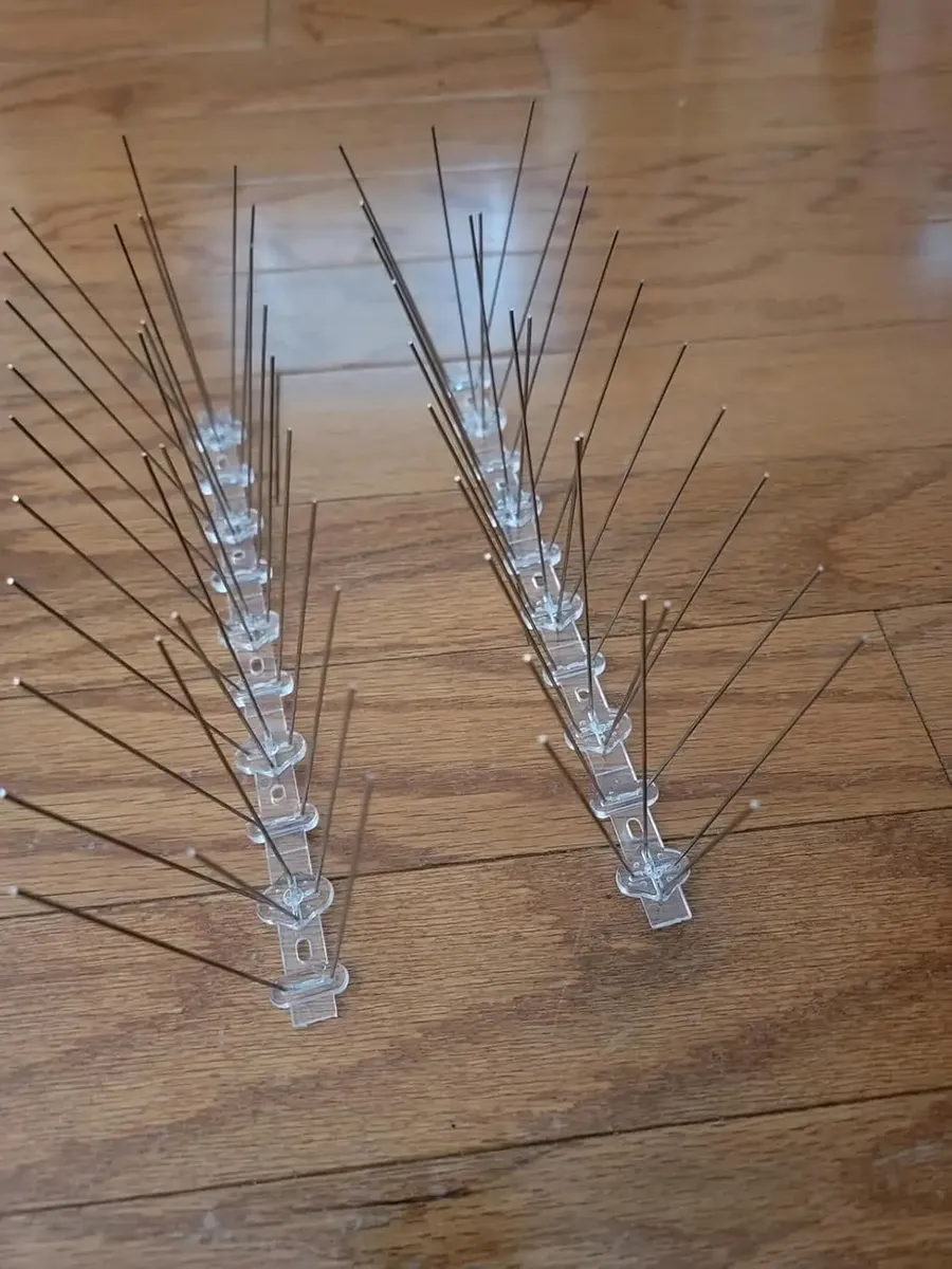 Ahuyenta Palomas Pajaros Pinchos De Acero Base Pvc 5 Metros - Imagen 4